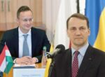 Сикорский отреагировал на критику со стороны Сийярто за поддержку Украины