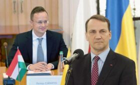 Сикорский отреагировал на критику со стороны Сийярто за поддержку Украины