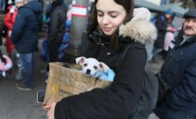 ЕС готовит почву для отмены временной защиты украинцев: в МИД дали разъяснения