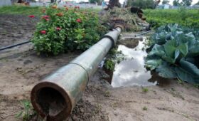 НАТО изучило опыт Украины и планирует отгородиться болотами от российских танков, – СМИ
