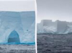 Самый большой айсберг в мире раскололся: по площади он был как целый штат США, что это значит