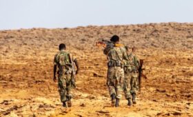 США надеются подвинуть россиян в африканских странах, — WSJ