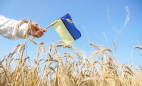 Общий долг Украины превысит 100% ВВП: что заложено в проекте бюджета-2026