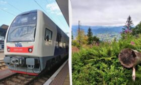 «Укрзализныця» меняет движение ряда поездов в Карпаты: как будут курсировать рейсы
