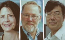 Объявили лауреатов Нобелевской премии-2025 по медицине и физиологии
