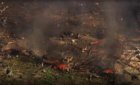 В США произошёл мощный взрыв на военном заводе: есть жертвы