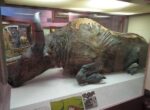 Ученые приготовили рагу из бизона, жившего 50 тысяч лет назад: каким оно было на вкус