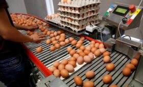 Украина стала крупнейшим поставщиком яиц в Великобританию, но там уже протестуют