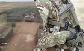 Во время учений венгерские войска отработали развертывание антидронових коридоров (видео)