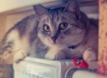 «Готовимся к тяжелой зиме»: в Минразвития рассказали о старте отопительного сезона