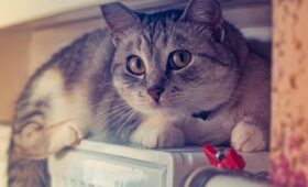 «Готовимся к тяжелой зиме»: в Минразвития рассказали о старте отопительного сезона