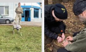 Партизанская война и «выживальщики»: граждане Польши активно готовятся к войне с РФ