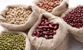 Полезно ли есть консервированную фасоль: диетолог дала четкий ответ