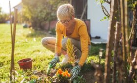 Что есть женщине после 50 лет для здоровья костей: диетологи назвали нужные продукты