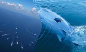 Балтийское море будут защищать дроны-акулы с искусственным интеллектом, — Bild