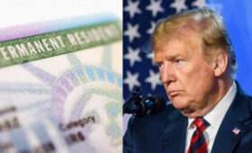 Трамп приказал приостановить выдачу грин-карт для переезда в США: в чем причина
