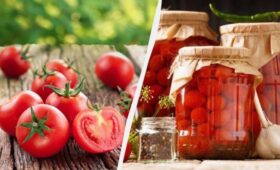 Какие помидоры полезнее — свежие или консервированные: 3 диетолога ответили одинаково
