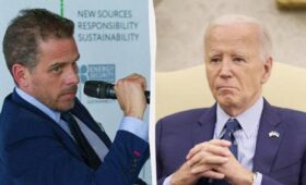 «Гадючье логово»: сын Байдена набросился с критикой на Украину