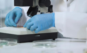 Врачи бьют тревогу: смертоносный грибок становится заразнее и распространяется по миру