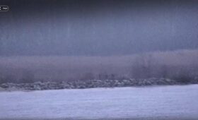 Россияне устроили провокацию на границе с Эстонией, — ERR (видео)