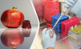 Можно ли есть гранат с косточками: польза, вред и рекомендации ученых