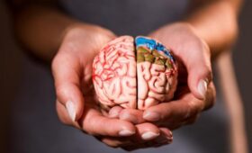 Что пить для здоровья мозга: диетологи порекомендовали чай №1