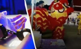 В Таиланде полиция под прикрытием в костюме льва поймала серийного грабителя (видео)