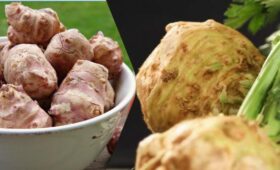 Что есть для здоровья кишечника: врач назвал 5 самых полезных овощей