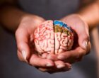 Что есть для здоровья мозга: ученые сделали неожиданное открытие