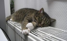 Котел или теплонасос: ученые назвали самую выгодную систему отопления дома