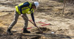 На Тайване обитали гигантские питоны: ученые выяснили причину их исчезновения