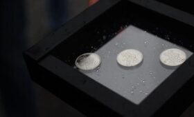 Нацбанк выпустил сразу три новые памятные монеты: чем они особенны