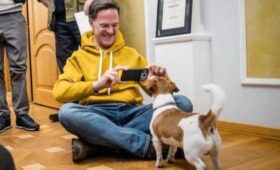 Я посмотрел псу Патрону в глаза, у них было сказано, что мы никогда не сдадимся, – Рютте