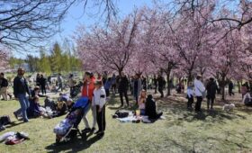 Выбрана самая счастливая страна в мире: какое место в этом рейтинге заняла Украина