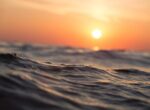 На глубине 5112 метров в море нашли странные объекты: они не должны были быть там