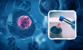 Первая страна в мире разрешила лечение двух болезней стволовыми клетками