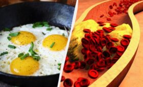 Что происходит с вашим холестерином, если вы едите яйца каждый день: ответ ученых