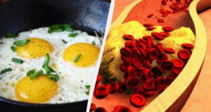 Что происходит с вашим холестерином, если вы едите яйца каждый день: ответ ученых