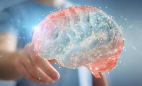 Прорыв в нейронауке: немецкий ученый объяснил, как работает навигационная система мозга