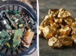 Сокровища на свалке: ученые научились добывать золото из компьютеров с помощью сыворотки
