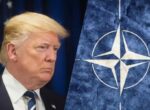 Трамп вышел на тропу войны и делает НАТО «козлом отпущения», — Politico