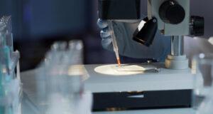 Коронавирус летучих мышей мутирует для новых попыток заражения людей, — исследование