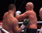 Фьюри вернулся: британский боксер эффектно разгромил россиянина в поединке