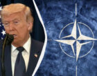 Европа срочно готовит запасной план, если Трамп выведет США из НАТО: WSJ раскрыло детали