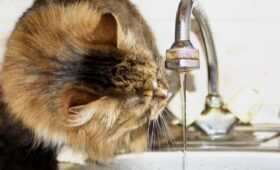 «Большие города окажутся в катастрофической ситуации»: эксперт раскрыл новую цель ударов РФ