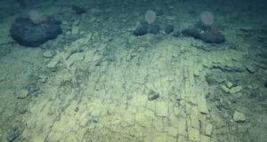 Жуткое зрелище: ученые обнаружили на дне океана желтую «кирпичную дорогу» (видео)