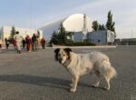 Угрозы с воздуха и на земле: на ЧАЭС раскрыли, как РФ и Беларусь затрудняют работу атомщиков