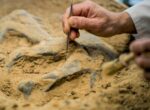 Ученые нашли скелеты возрастом 7 000 лет с ДНК неизвестного науке человеческого вида