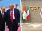 Было бы очень полезно: Трамп отреагировал на возможное участие Путина в саммите G20