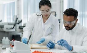 Торговля дикими животными повышает риск передачи людям опасных заболеваний, — ученые